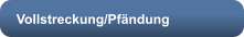Vollstreckung/Pfändung